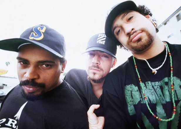 Americká libová parta Cypress Hill