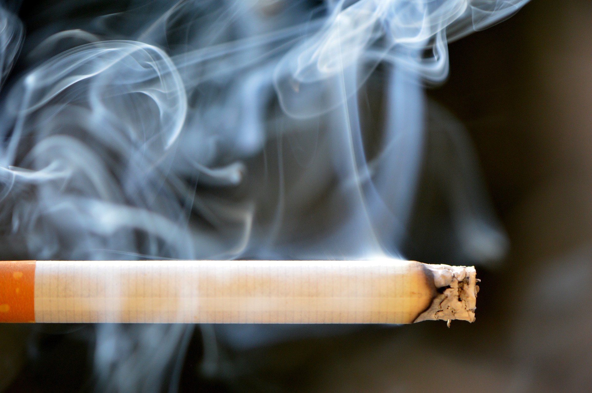 OCCRP: Japan Tobacco International Making a Mint by Circumventing Menthol Cigarette Ban