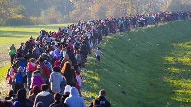 Co český politik neřekne: Migrace jako ekonomická příležitost